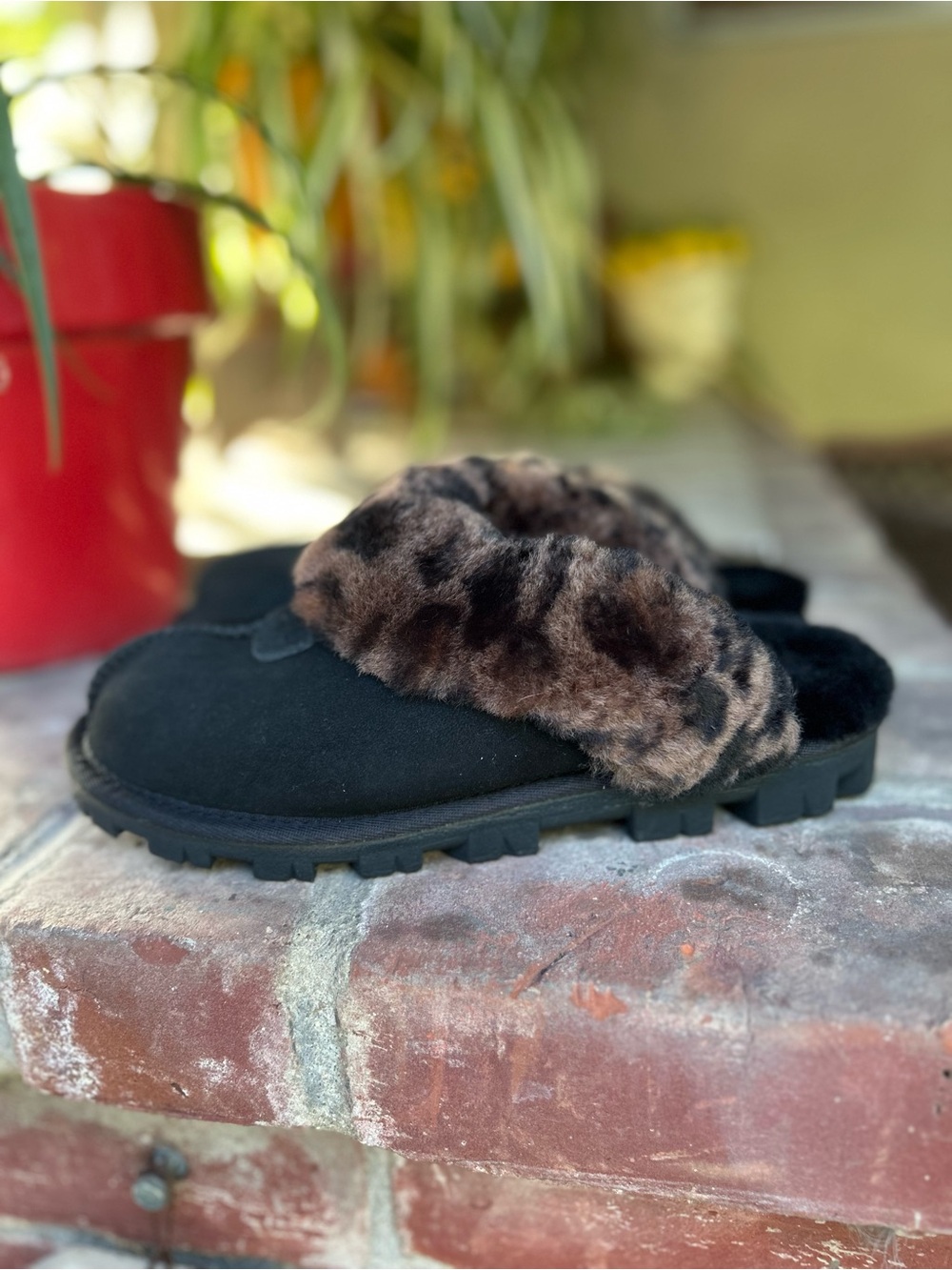 UGG Coquette slippers